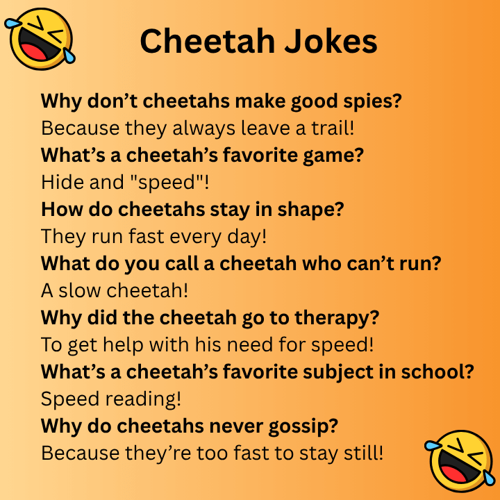 Cheetah Jokes