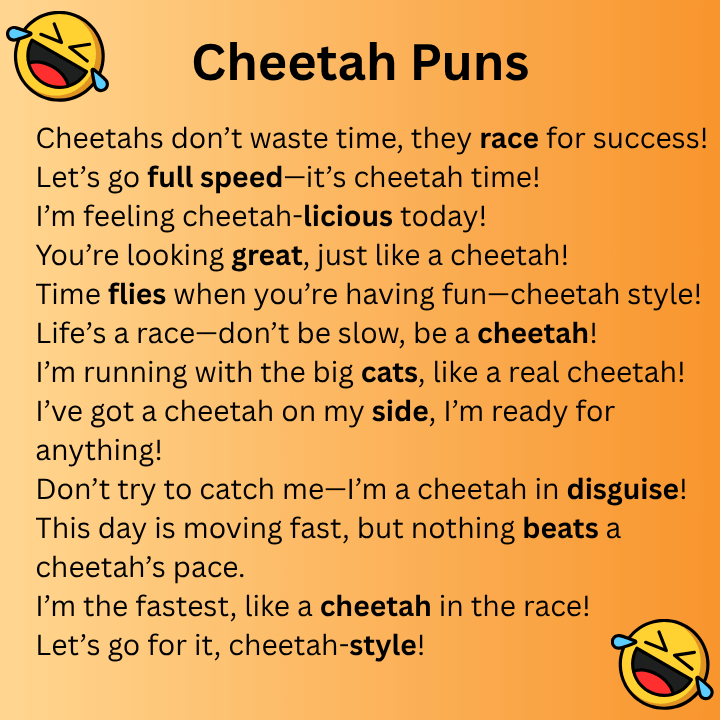 Cheetah Puns