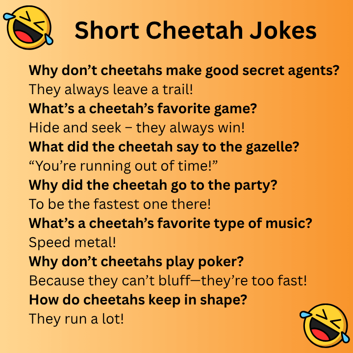 Short Cheetah Jokes