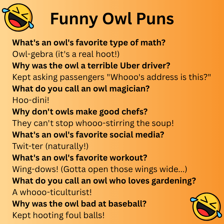Funny Owl Puns