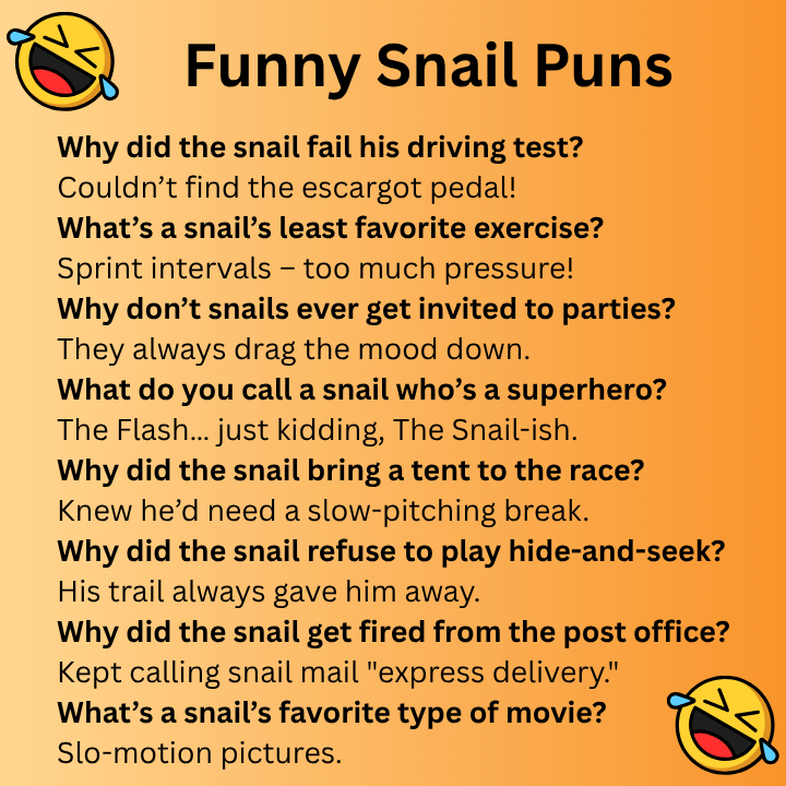 Funny Snail Puns