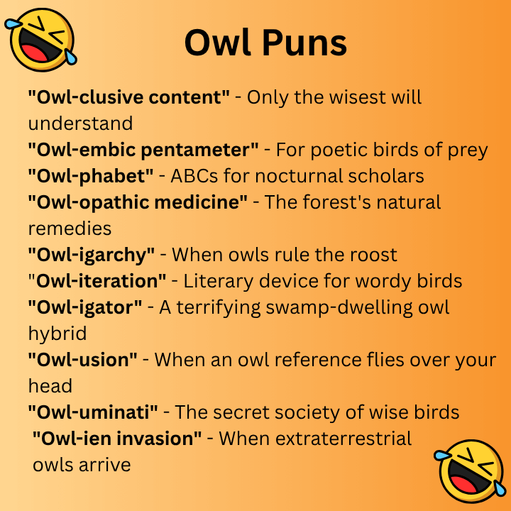 Owl Puns