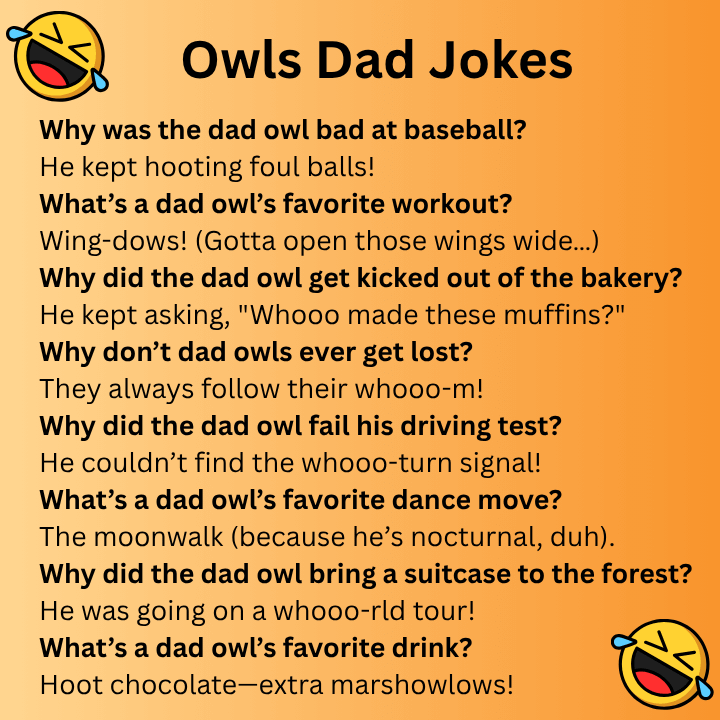 Owls Dad Jokes