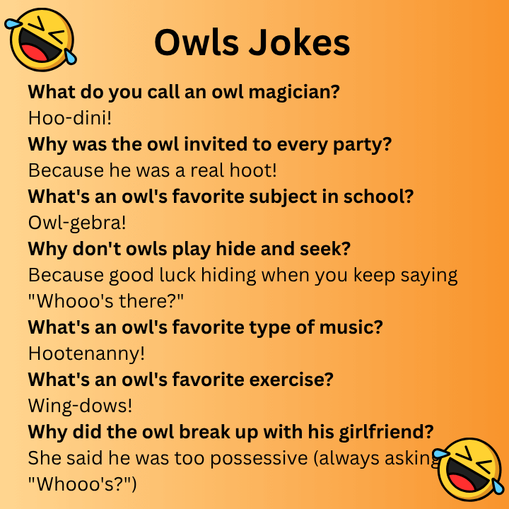 Owls Jokes