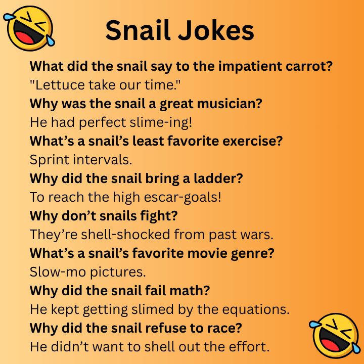Snail Jokes