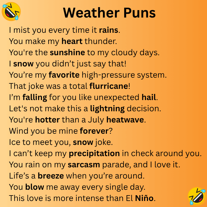 Weather Puns