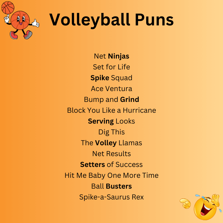 Volleyball Puns Team Names