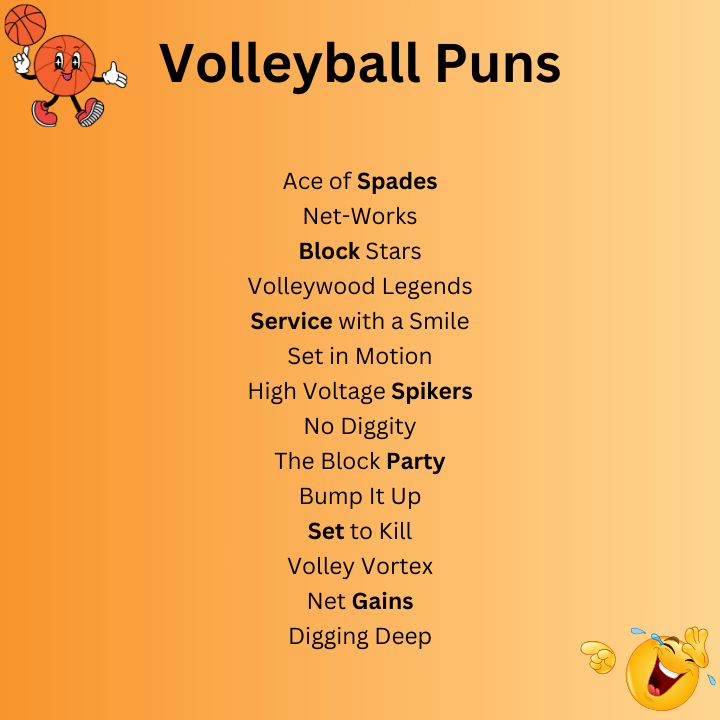 Volleyball Puns Team Names