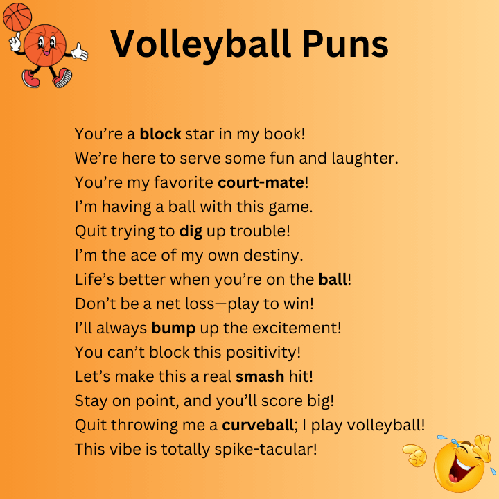 Funny Volleyball Puns