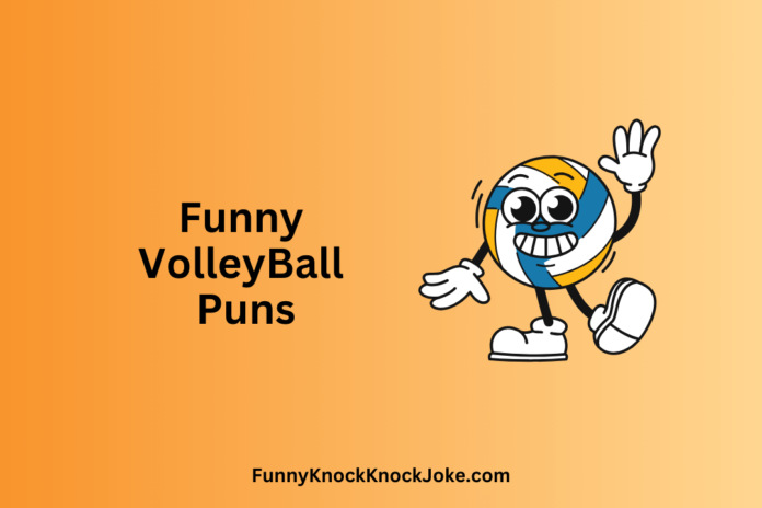 VolleyBall Puns