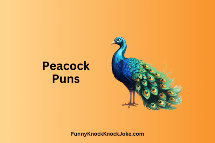 Peacock Puns