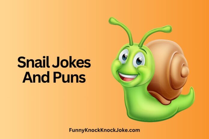 Snail Jokes